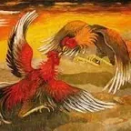 Kontes Sabung Ayam Dompu