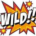 Bonus Deposit New Member 100%