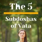 Vata's 5 Subdoshas Your Health's Best Friends