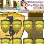 FERRARITOTO - TAMPILAN WEB