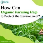 How Can Organic Farming Help to Protect the Environment?