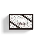 㮀HAN 「居家皮秒套組」