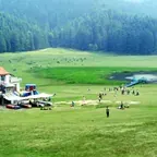 Dalhousie Family Package