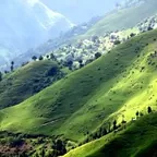 Cheap Himachal Tour Package