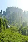 Darjeeling Tour Packages For Family