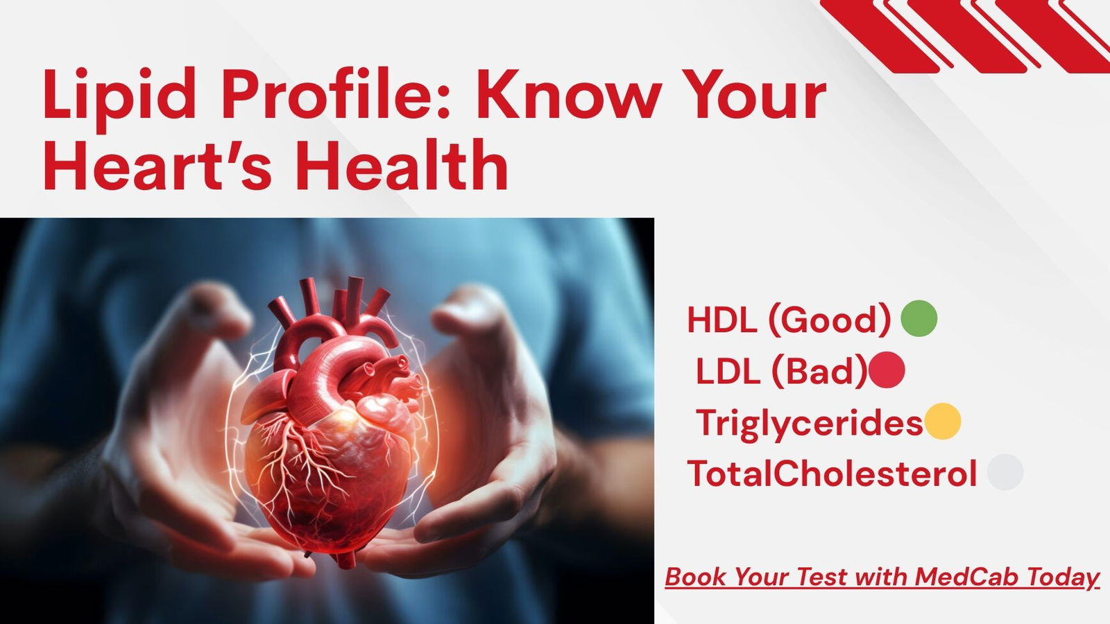 Heart Health-Understanding Lipid Profile Tests