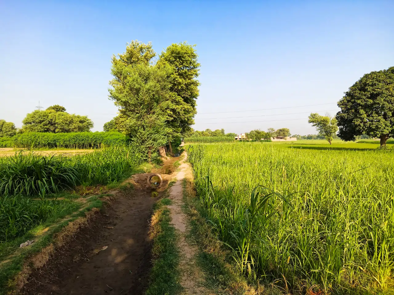 Patiala Local Taxi & Cab Booking – HurryUp Cabs