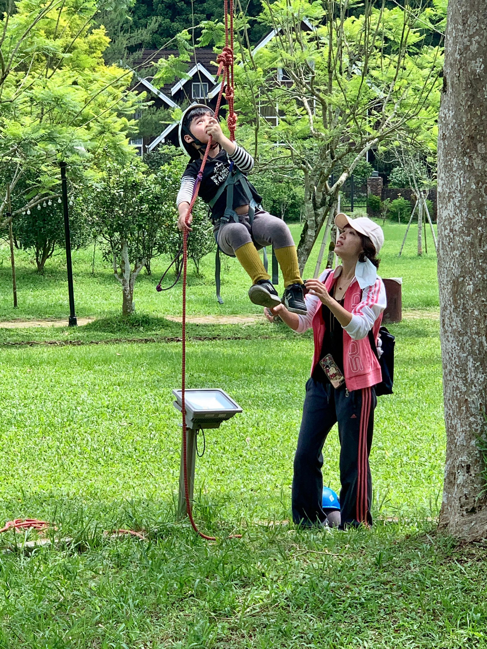 南投攀樹體驗 TREE CLIMBING