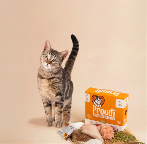 How Often Should Cats Eat Raw Cat Food in Australia?