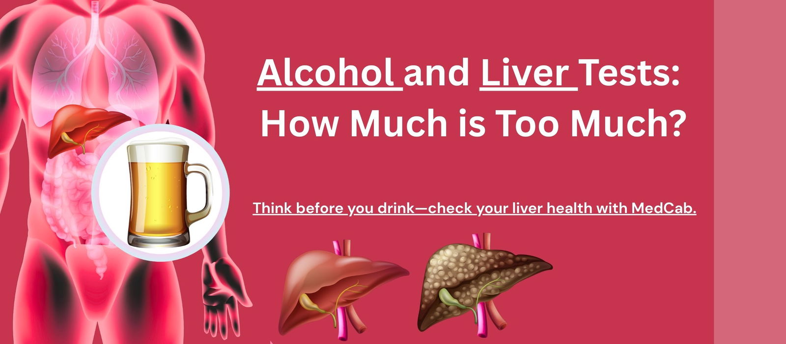 Alcohol and Liver Tests: How Much is Too Much?