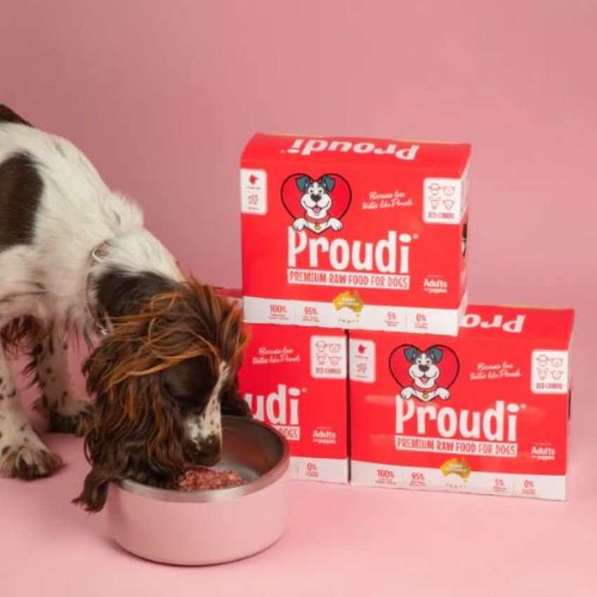 Why Is Raw Food for Dogs Growing in Popularity?