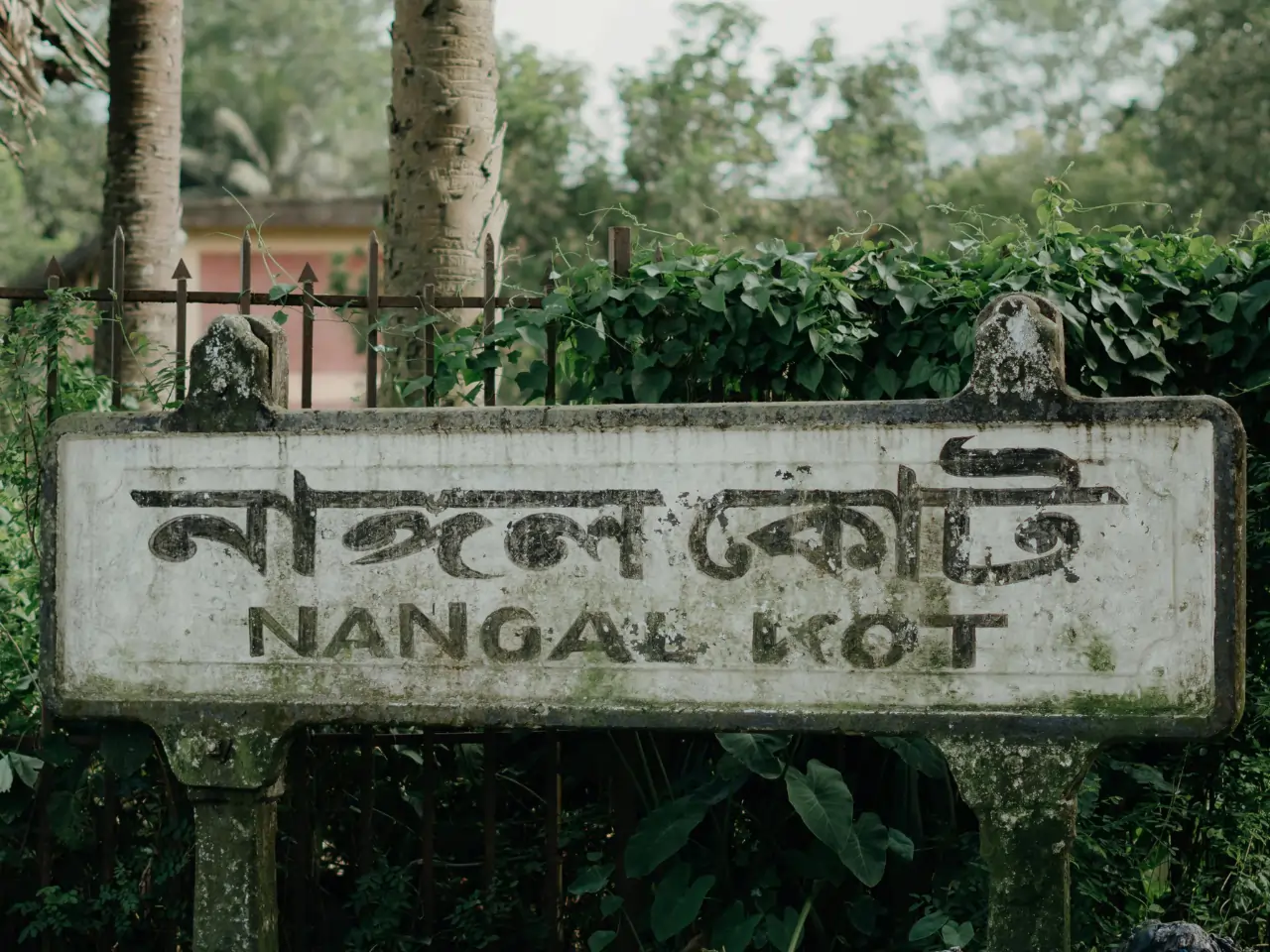 Top Things to Do in Nangal Punjab – HurryUp Cabs