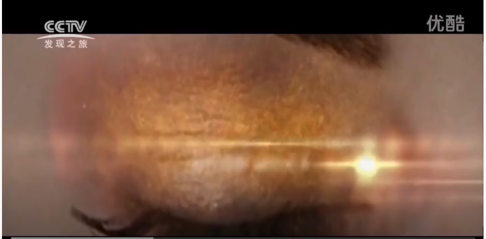 奇蹟之水~德國諾爾登腦洞窟