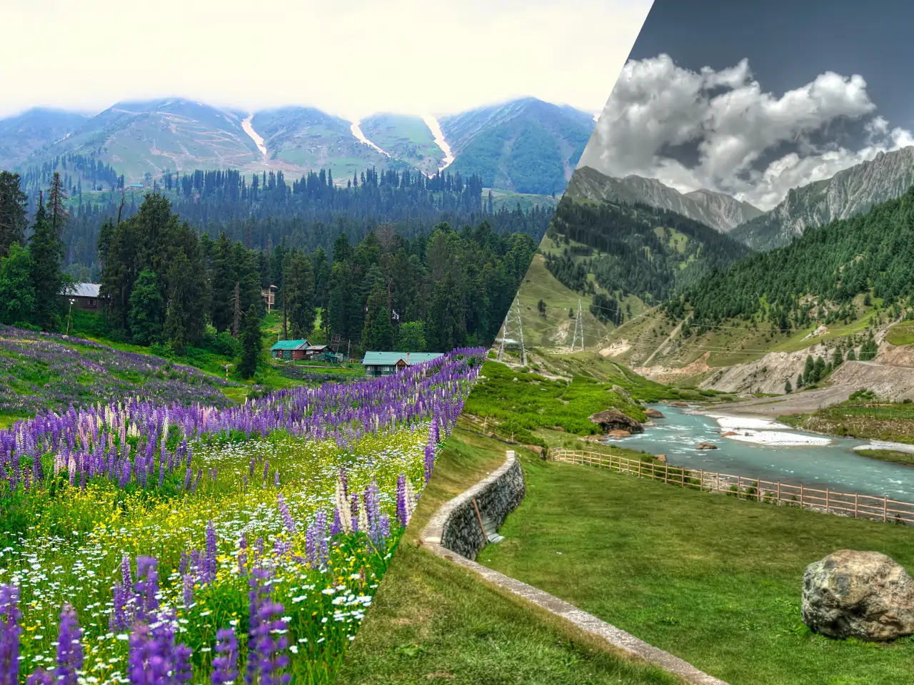 Jammu to Patnitop Cab Service