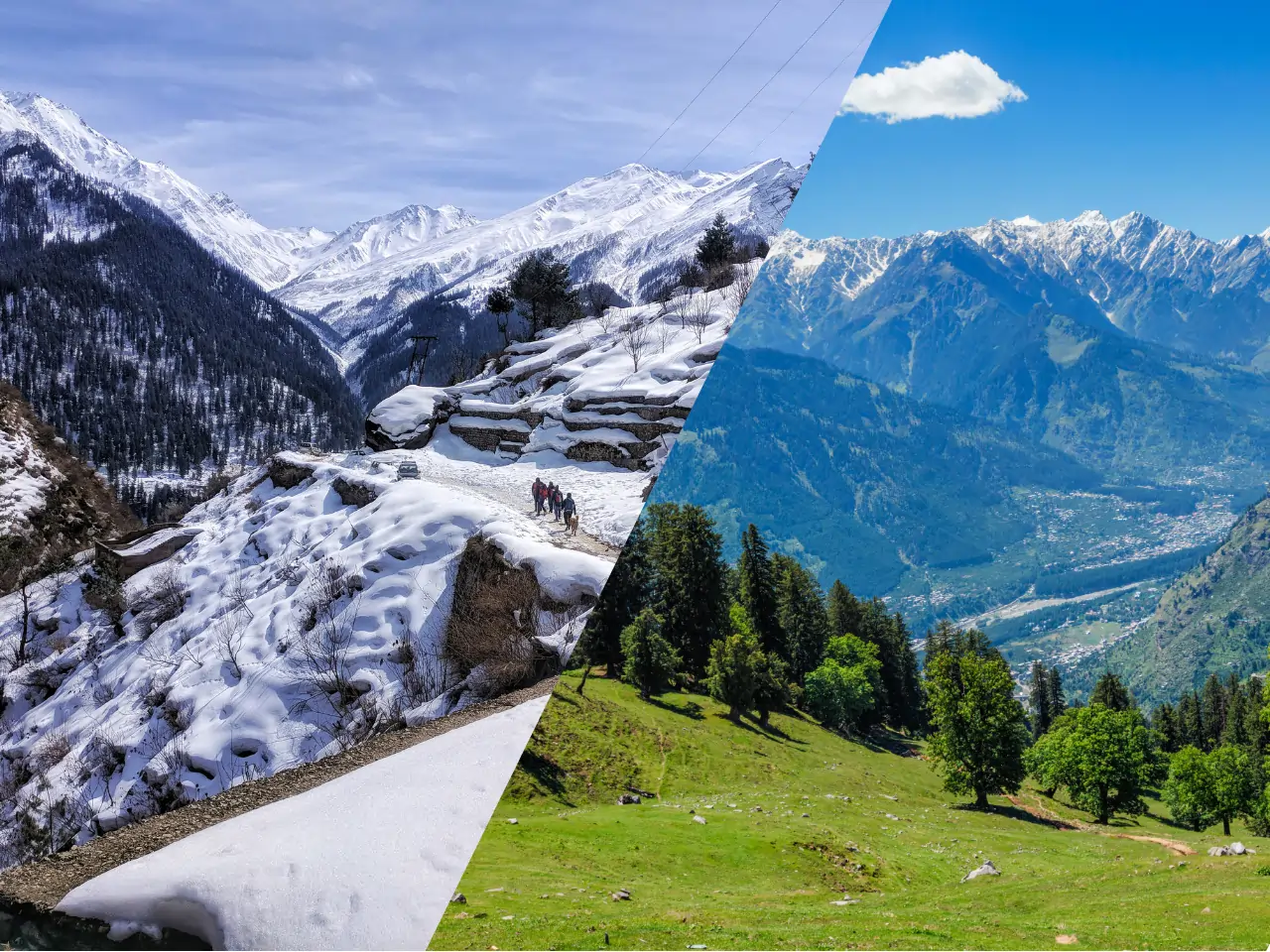 Manali to Jibhi Cab
