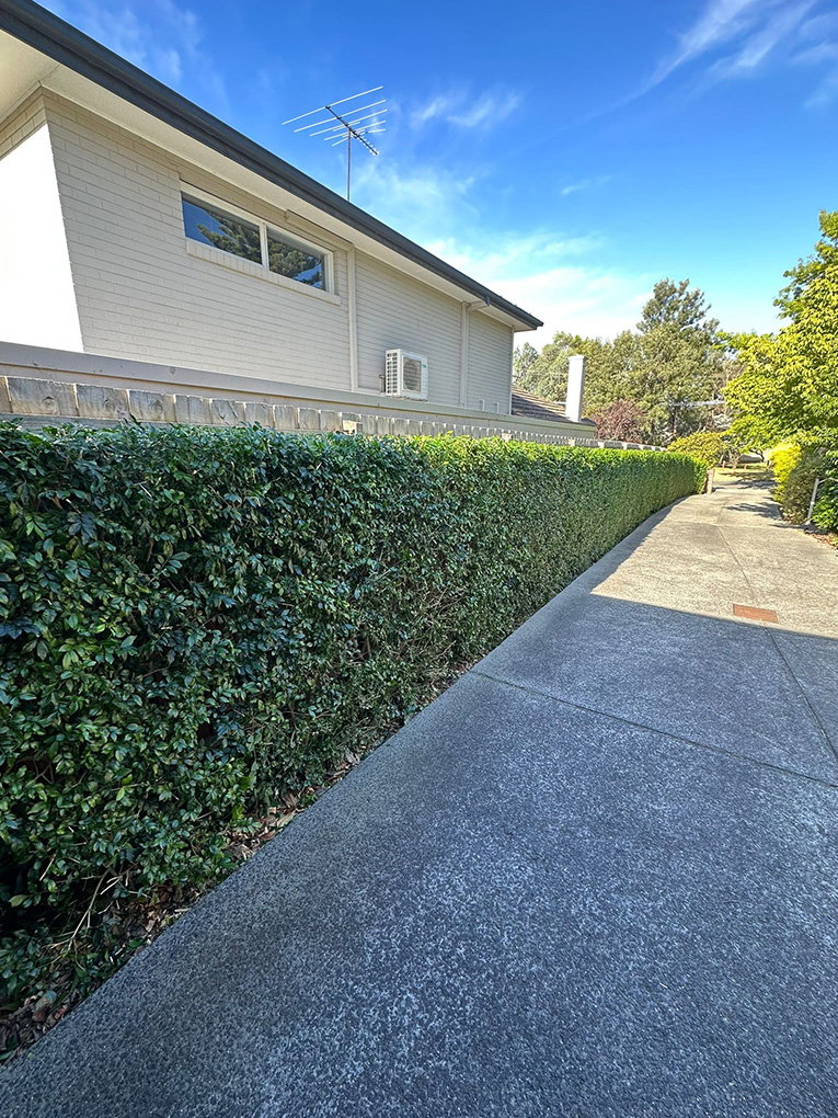 Hedging in Melbourne | GreenGo Garden Service