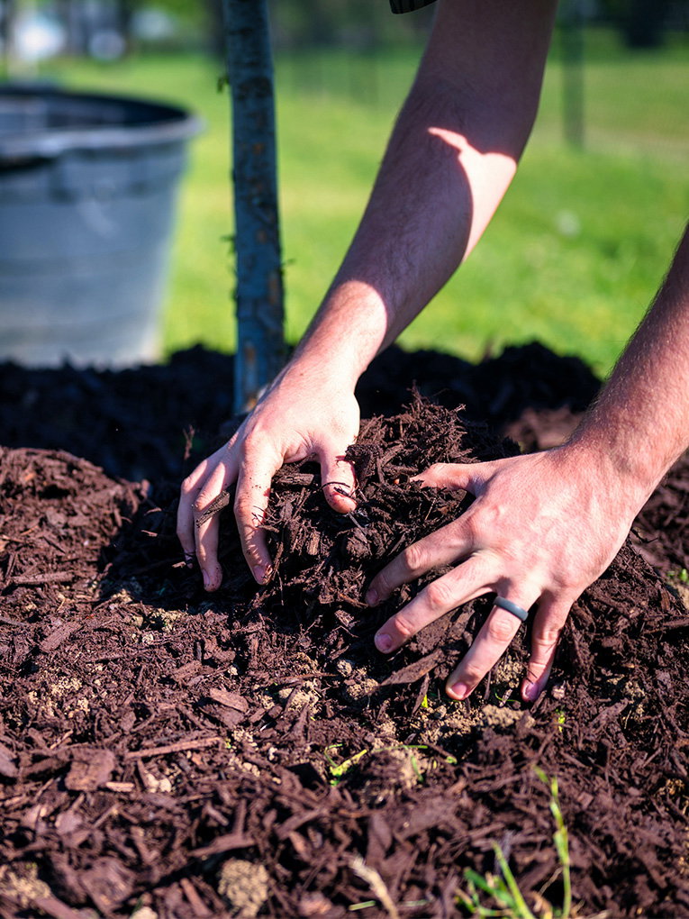 Mulching in Melbourne | GreenGo Garden Service