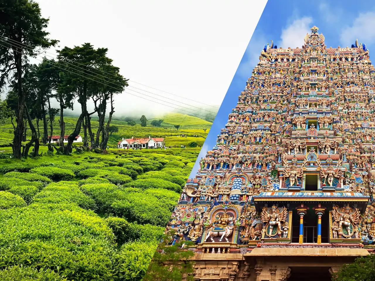 Affordable Kodaikanal to Madurai Taxi Service – Safe & Comfortable Outstation Cab Booking