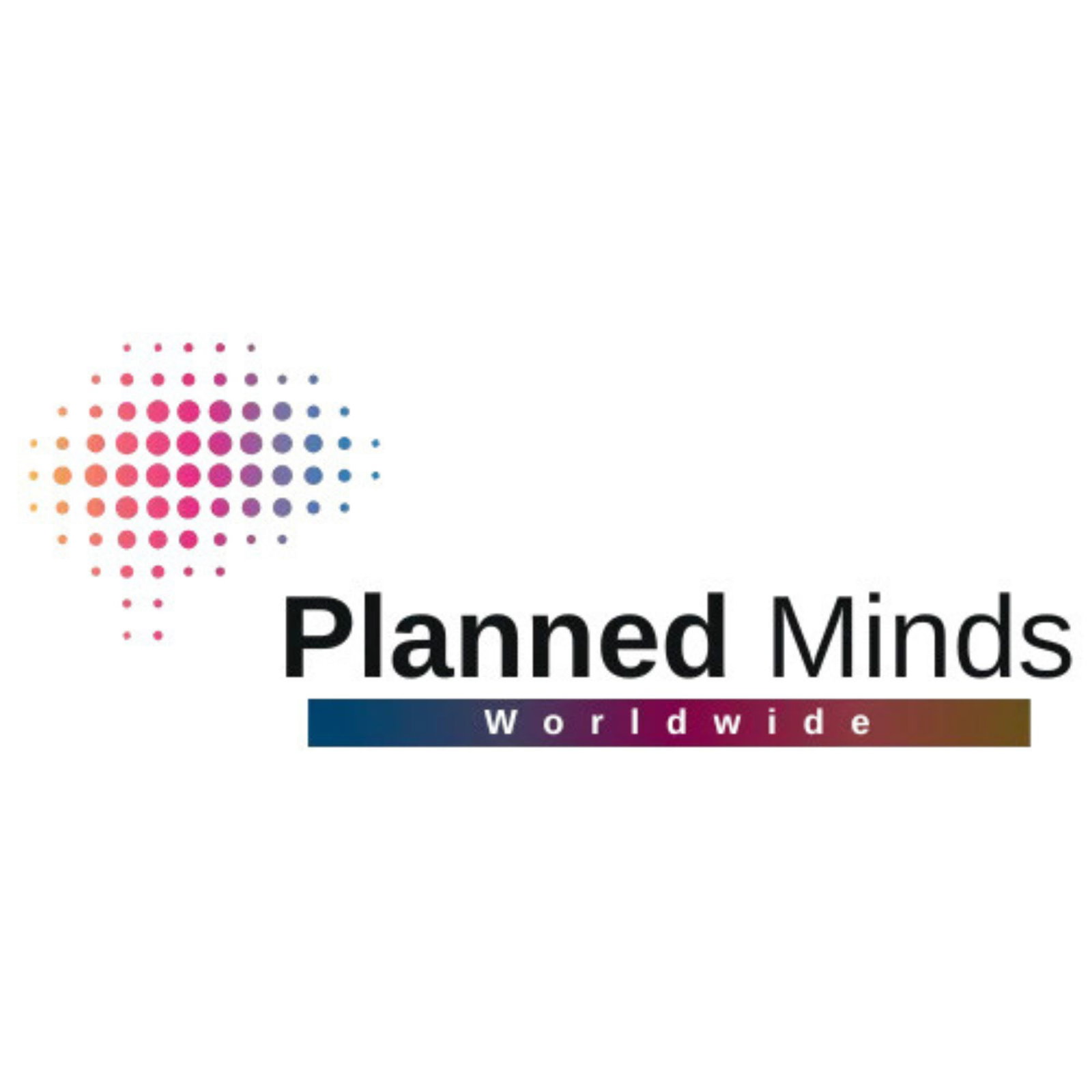 IT Services Company in India | Planned Minds Worldwide