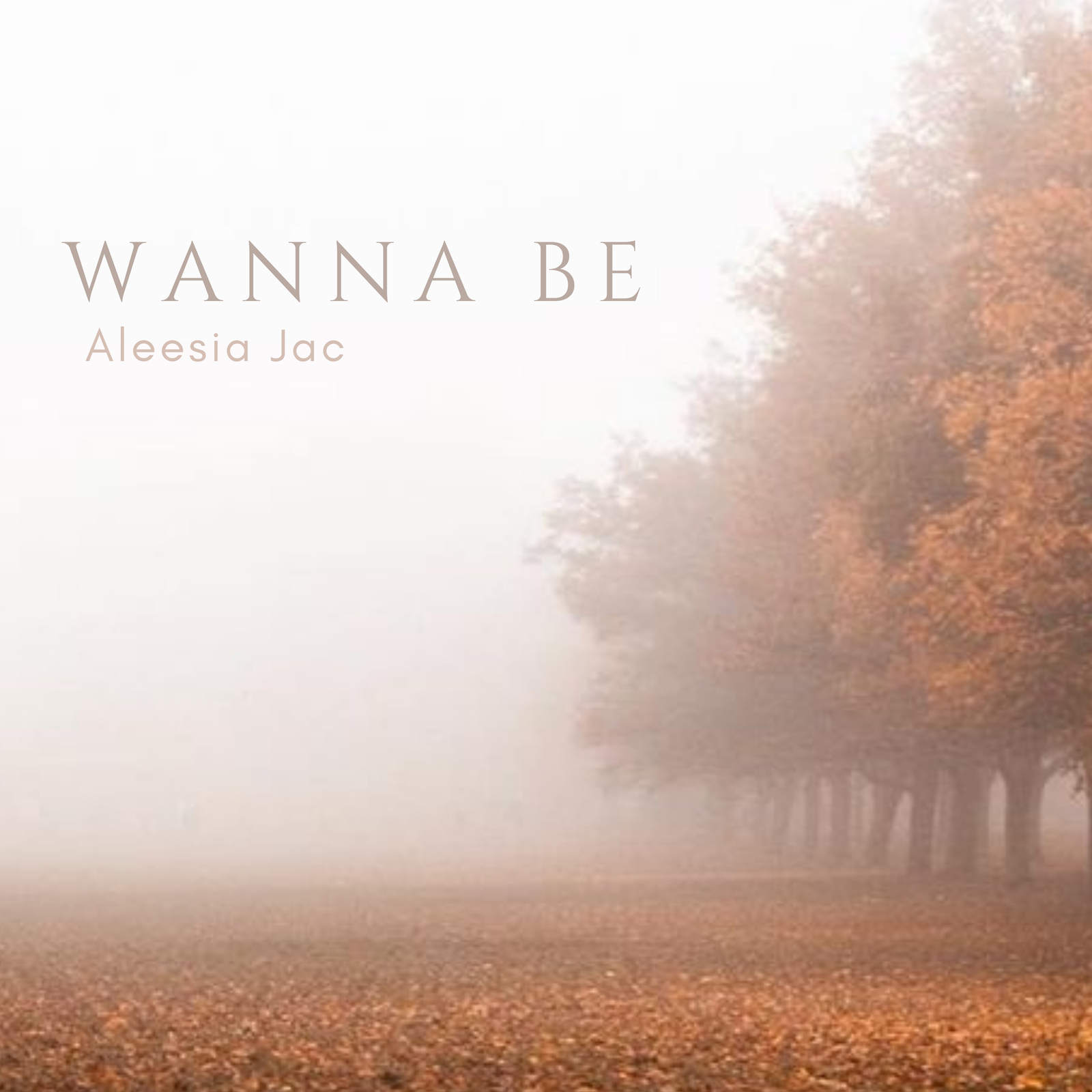 WANNA BE - Aleesia Jac [ Spotify ]