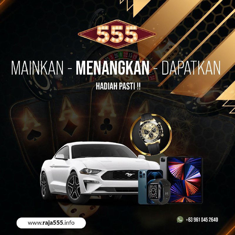 > BONUS 100% NEW MEMBER  <