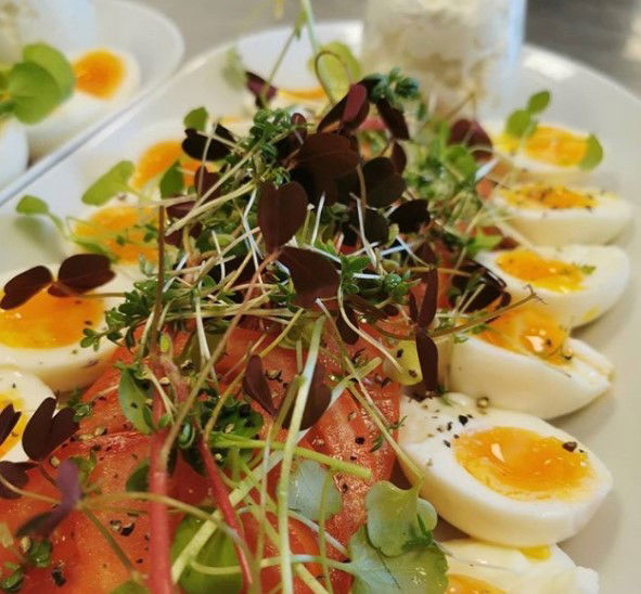 Frokostordning Århus