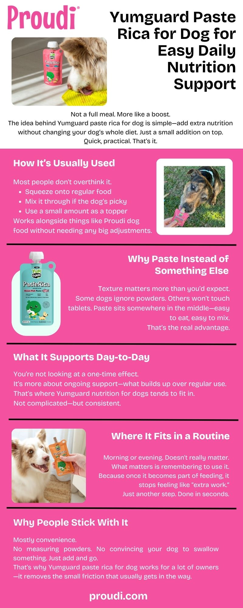 Yumguard Paste Rica for Dog for Easy Daily Nutrition Support
