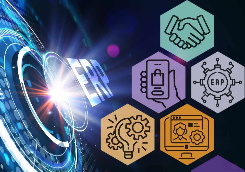 ERP eCommerce Integration for Connected Business Operation 
