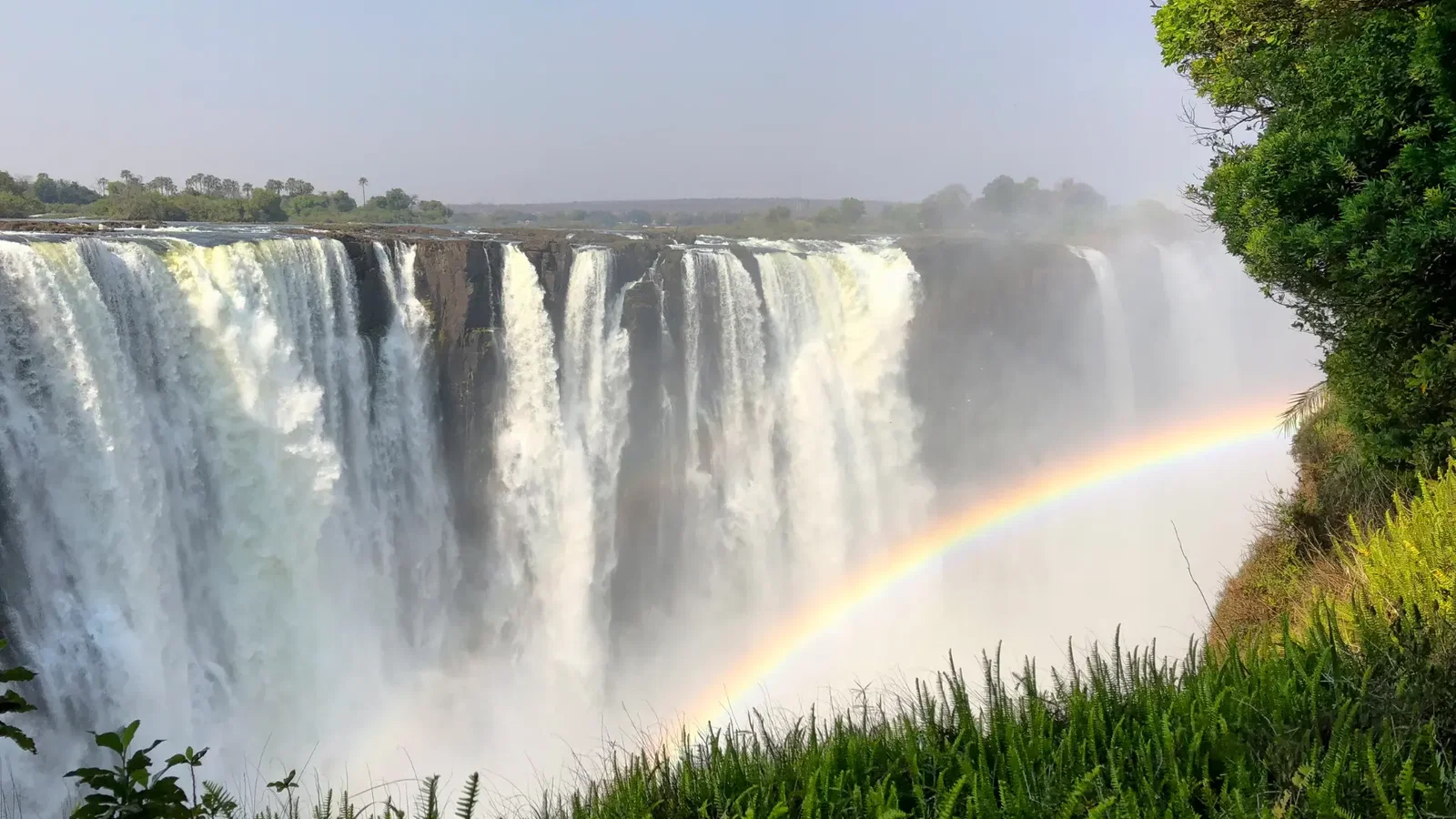 Roteiro Safari Sob Medida: Planeje a Viagem Dos Seus Sonhos NA ÁFrica