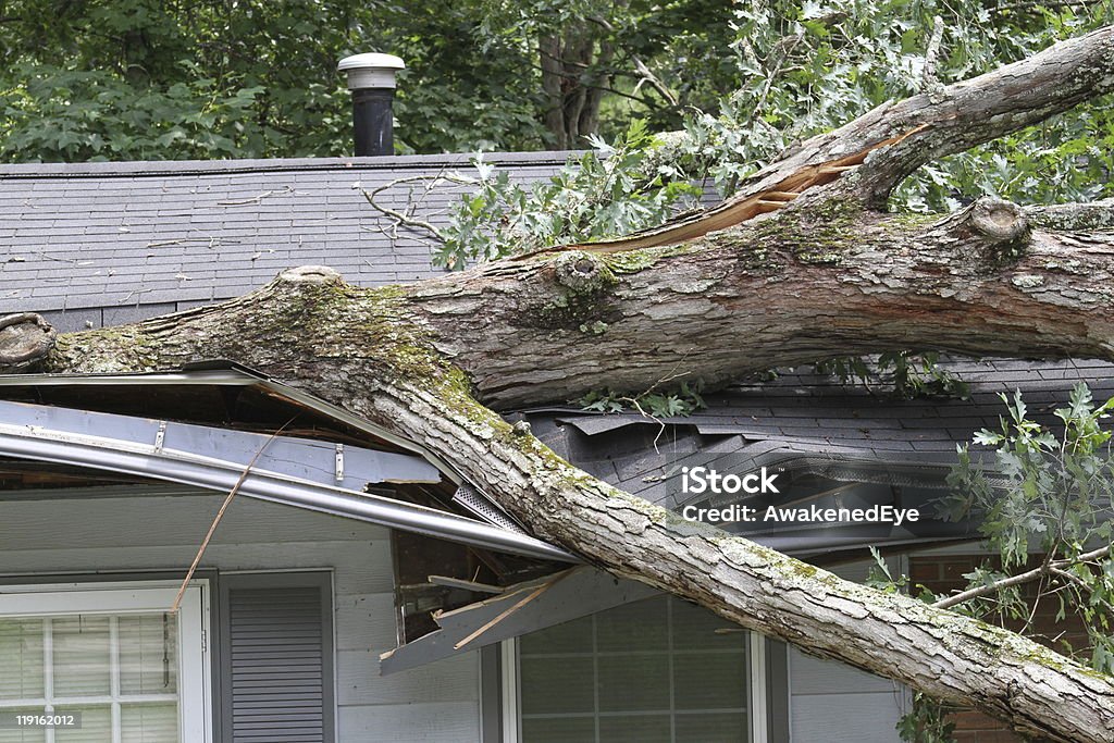 Storm Damage Restoration Perth | Emergency Cleaning Service