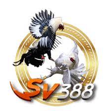 AGEN JUDI SABUNG AYAM