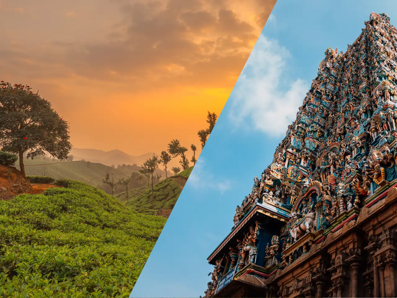 Best Munnar to Madurai Cab ₹ 4845 | Online Cab Booking