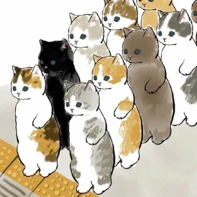 貓里民的活動中心🐈  LINE群