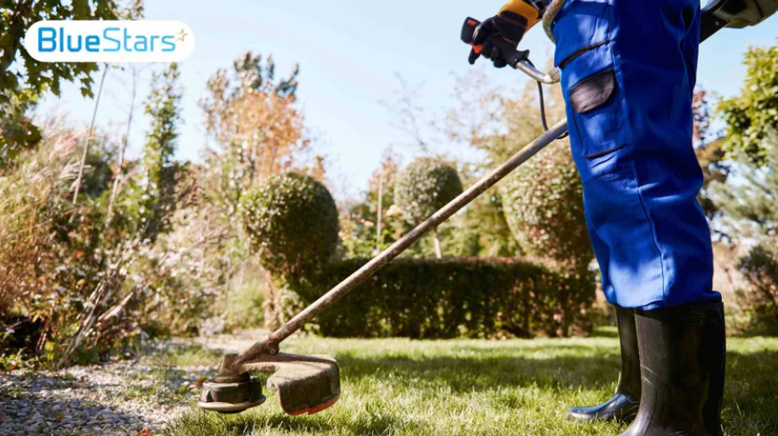 Weed Eater Won’t Start? 6 Common Problems and Fixes