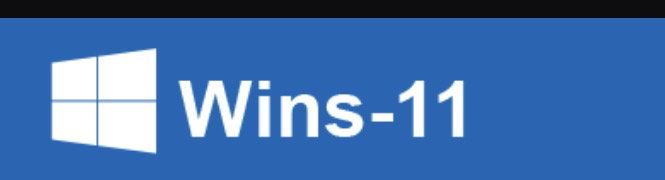 Wins11 🎉Welcome Bonus🎉Daily Target Bonus🎉Weekend Bonus🎉Share Bonus
