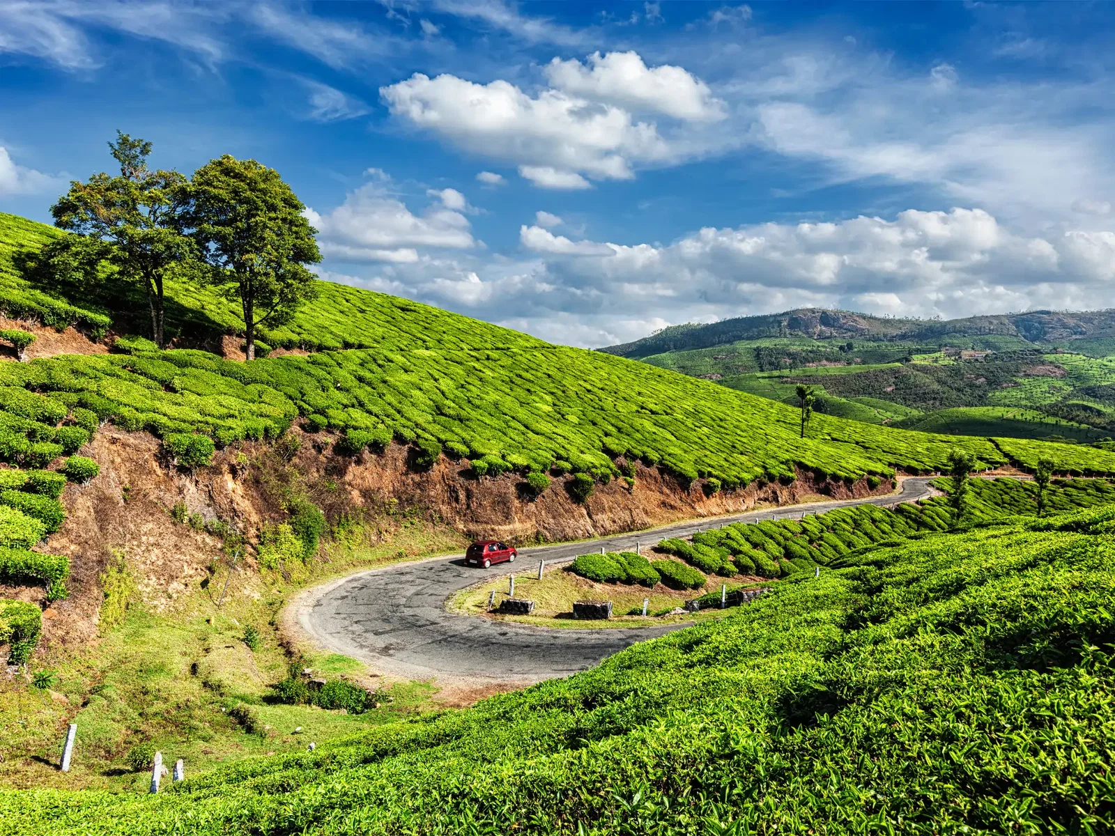 Munnar Taxi Service – Trusted Cab Booking for Local Sightseeing, Hill Station Tours & Outstation Travel
