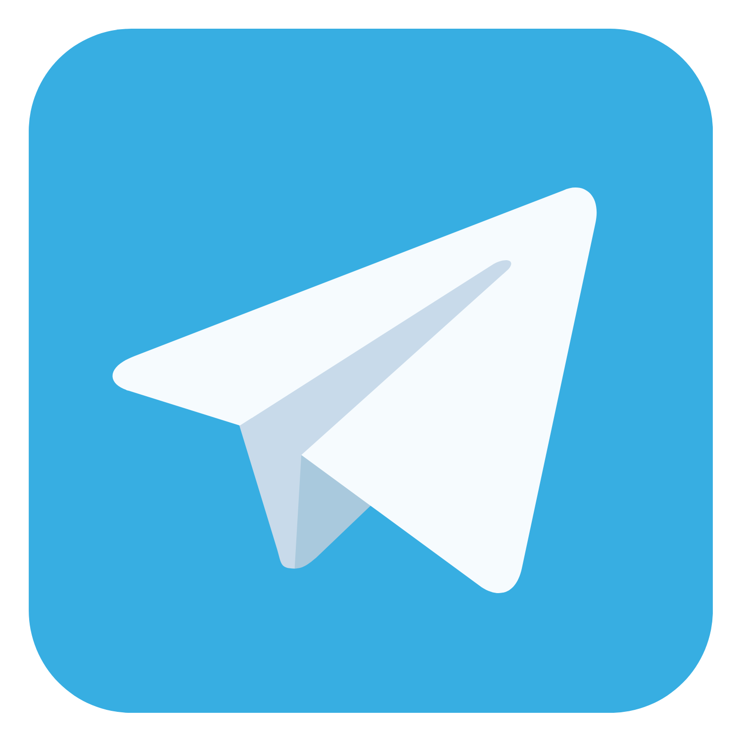 TELEGRAM - SHELLY