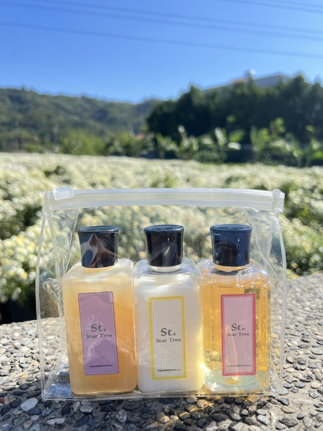 星願樹旅行組💕