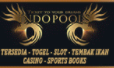 Indo Pools | Ticket to Your Dreams