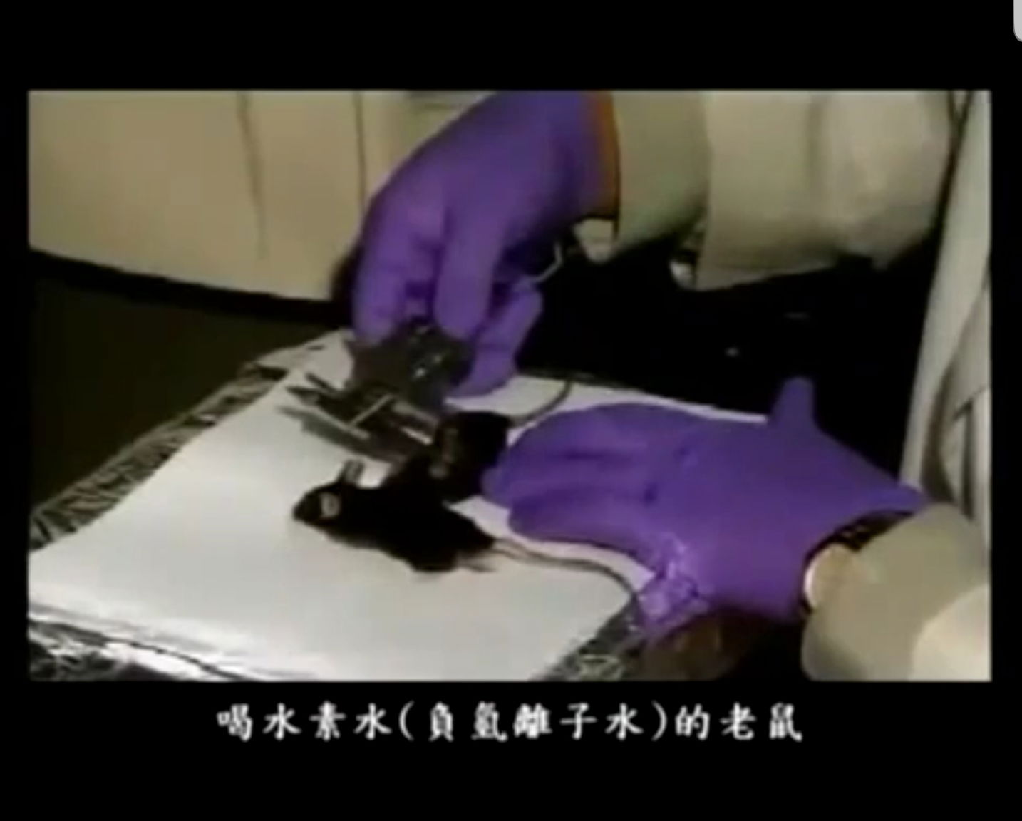 【韓國延世大學醫學院實驗，水素水對抑制糖尿病、中性酯肪、癌細胞的效果研究】