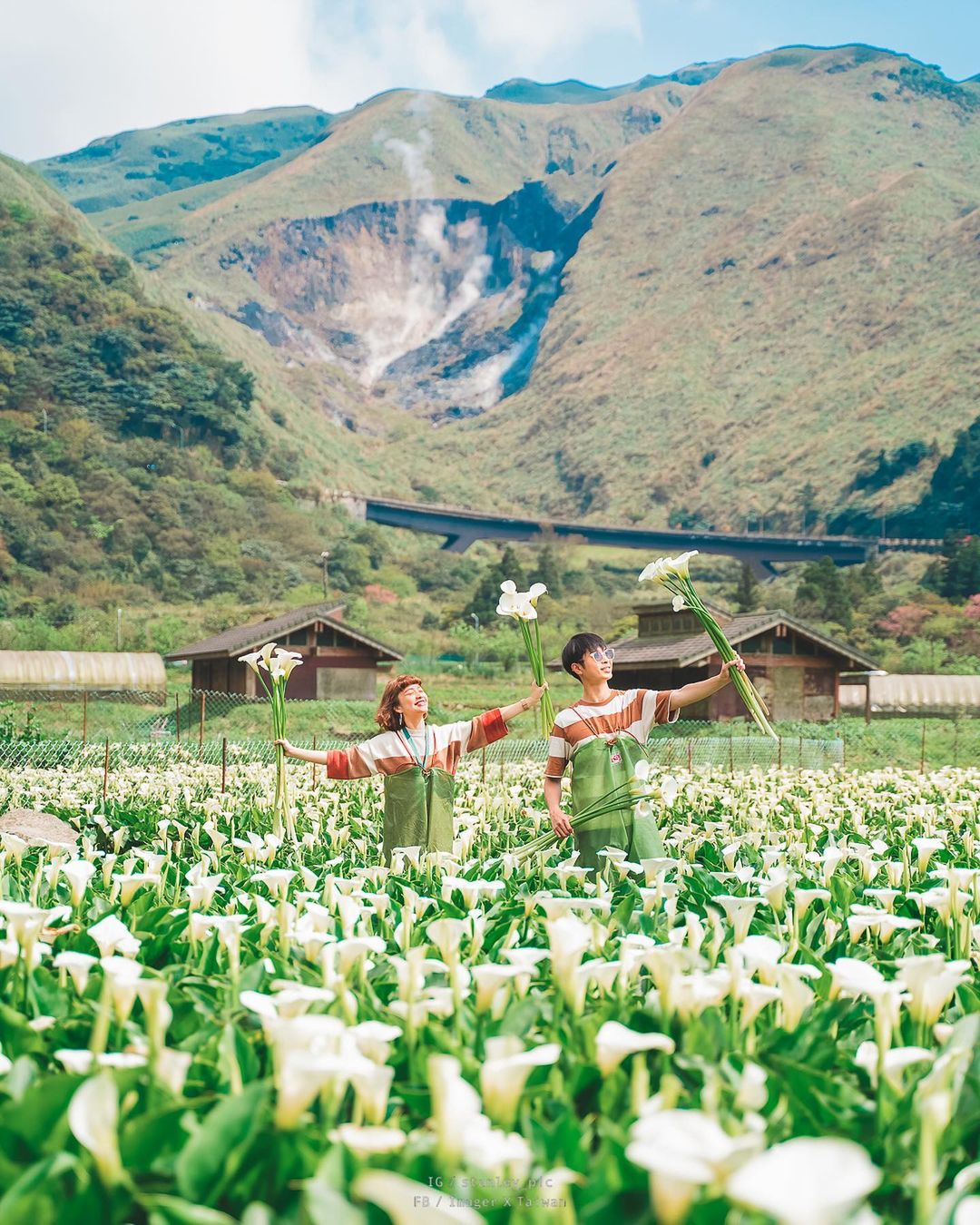 海芋．繡球．竹子湖