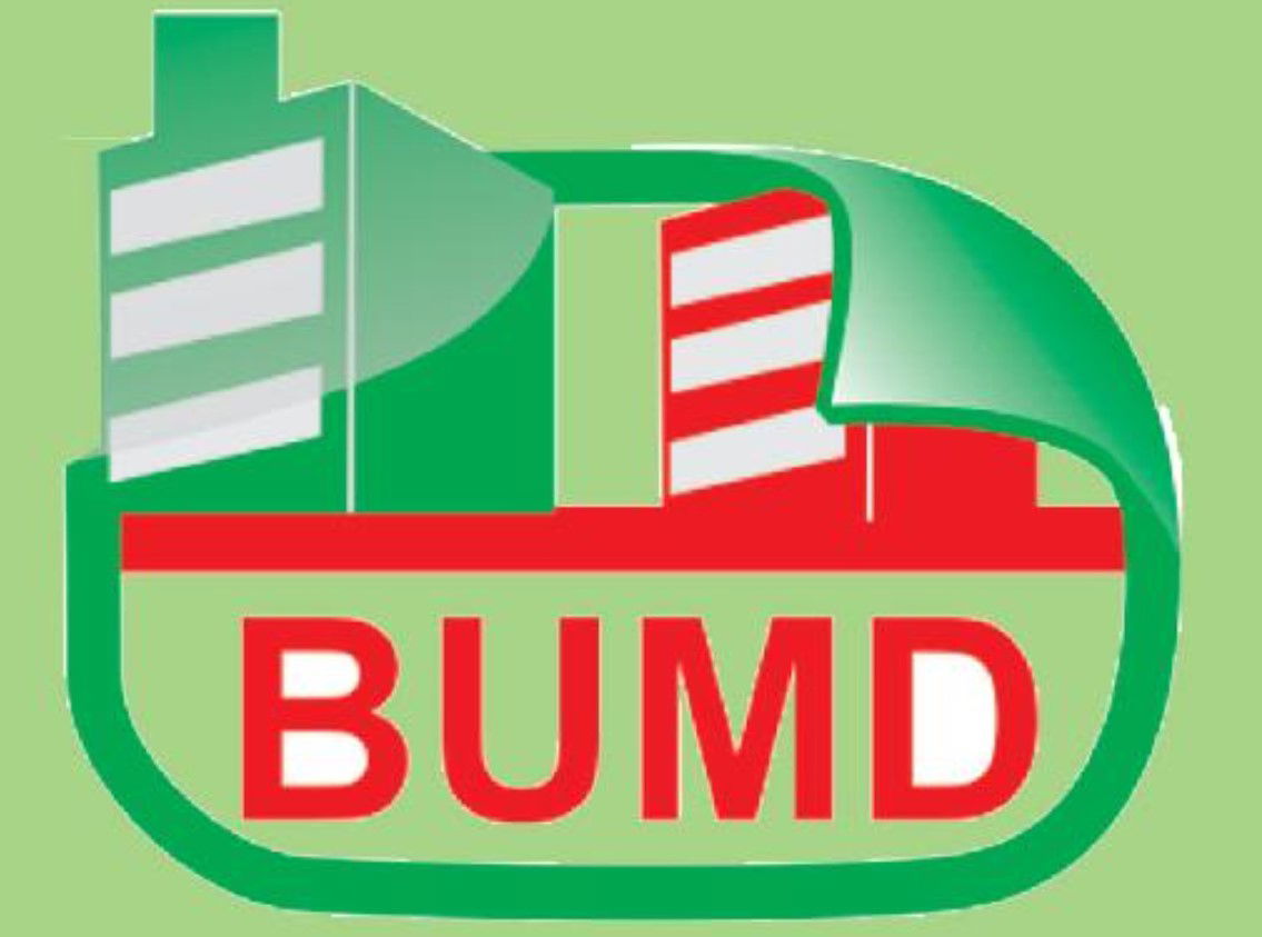 DATABASE - PROFILE BUMD