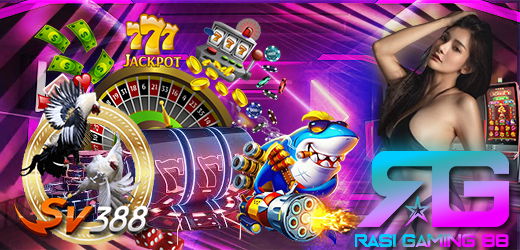 Situs Agen Adu Ayam SV388