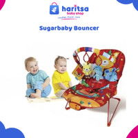 Sugarbaby Bouncer 3 Recline Bear & Friends