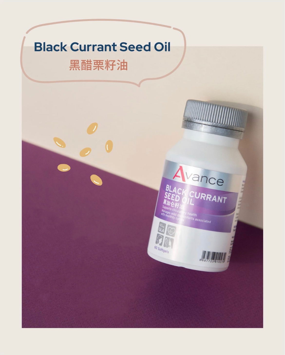 維格爾 黑醋栗籽油膠囊狀食品