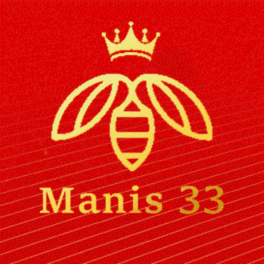 MANIS33 logo