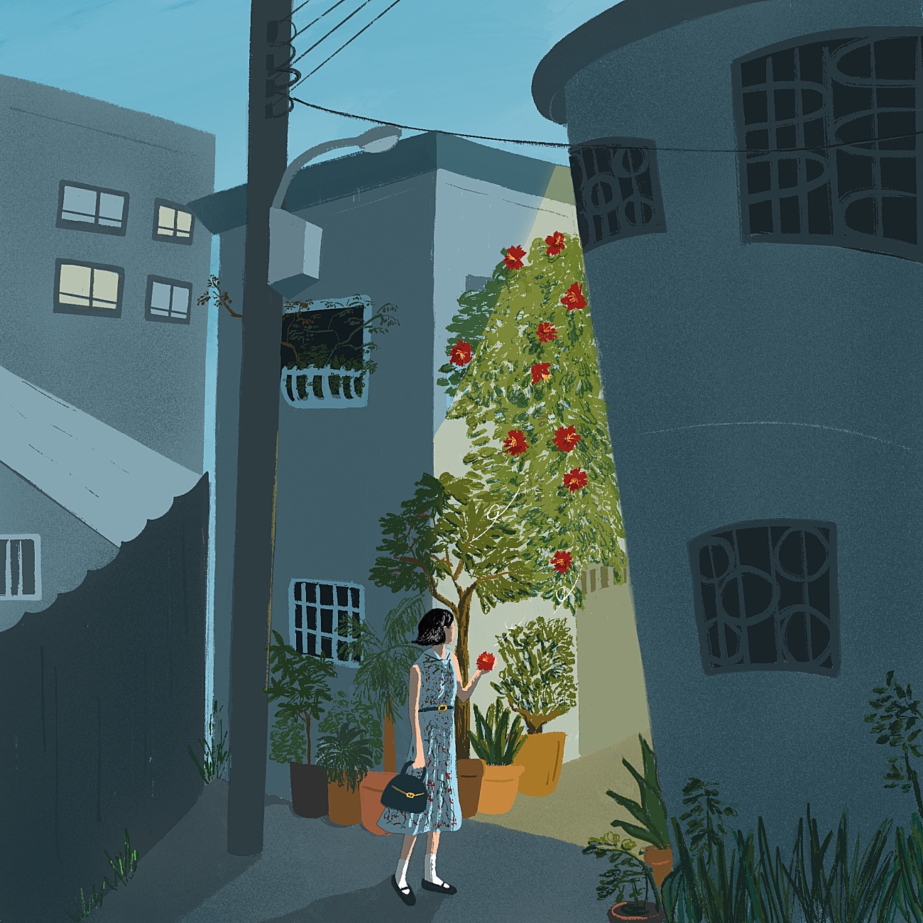 　 　繁體書單索引　　  (不定期更新)