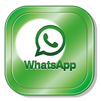 KONTAK WHATSAPP LIVE22