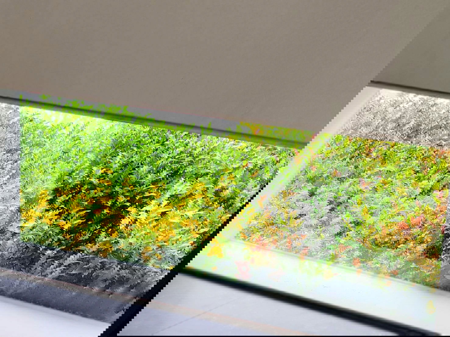 關於 陽台造景規劃