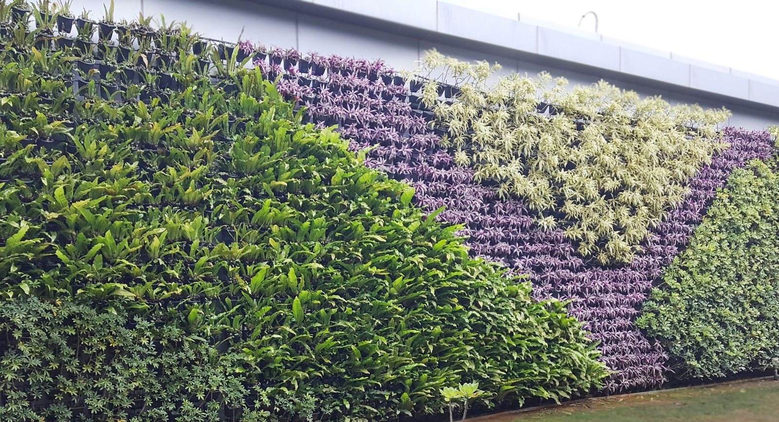 關於 綠牆造景規劃